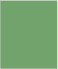 SOLO RAL 6021