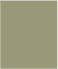SOLO RAL 7032